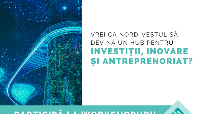 INNO a organizat o serie de workshopuri în vederea pregătirii Planului Regional pentru Creșterea Investițiilor în Inovare și Antreprenoriat din Regiunea de Dezvoltare Nord-Vest